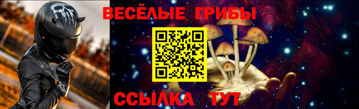 Волоколамск  Псилоцибиновые грибы Psilocybe  даркнет сайт  Вход с VPN 